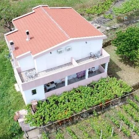 Vrzina Farm House Skadar Lake فيربازار المظهر الخارجي الصورة