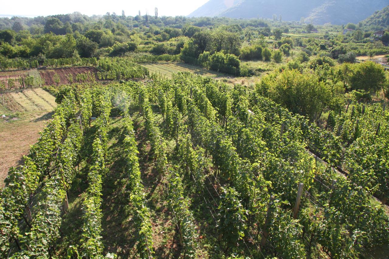 Vrzina Farm House Skadar Lake فيربازار المظهر الخارجي الصورة