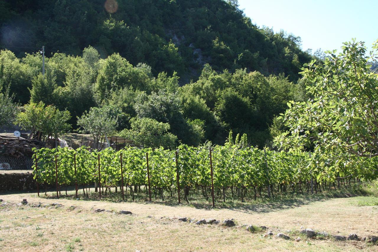 Vrzina Farm House Skadar Lake فيربازار المظهر الخارجي الصورة
