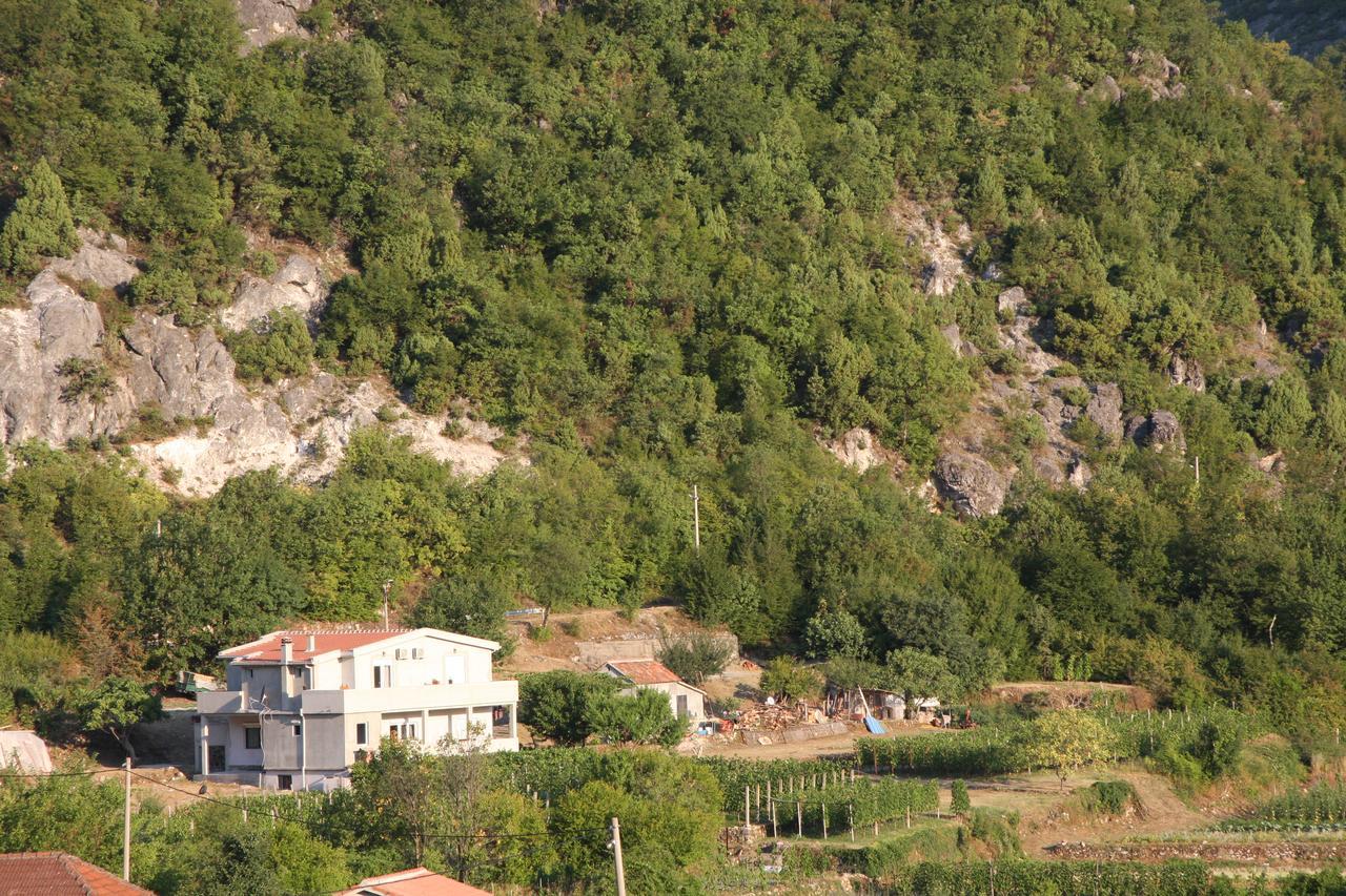 Vrzina Farm House Skadar Lake فيربازار المظهر الخارجي الصورة