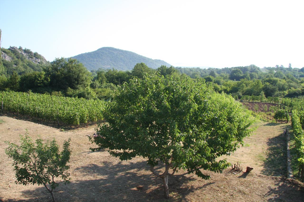 Vrzina Farm House Skadar Lake فيربازار المظهر الخارجي الصورة