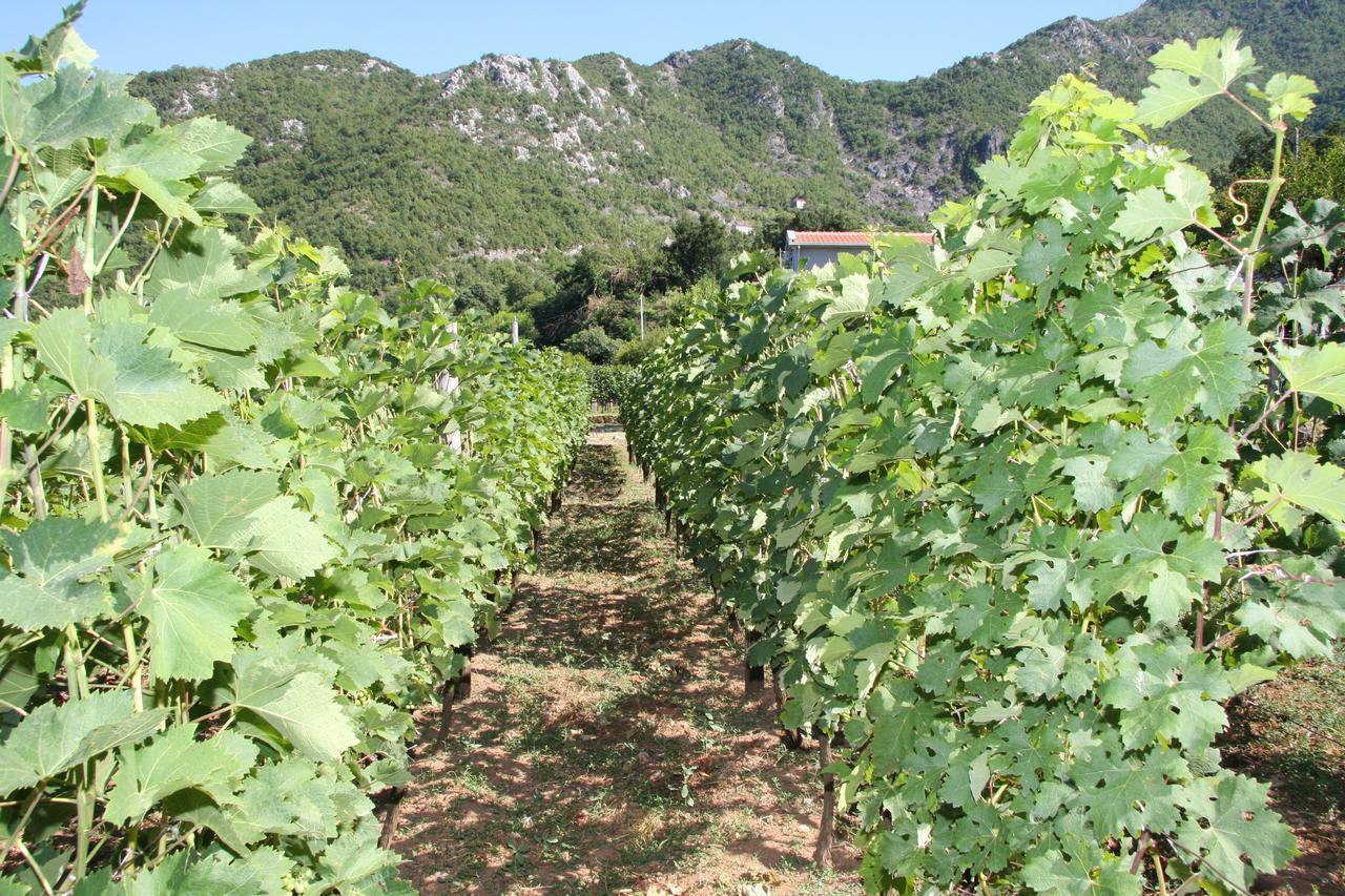 Vrzina Farm House Skadar Lake فيربازار المظهر الخارجي الصورة