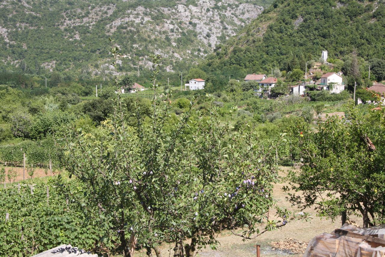 Vrzina Farm House Skadar Lake فيربازار المظهر الخارجي الصورة