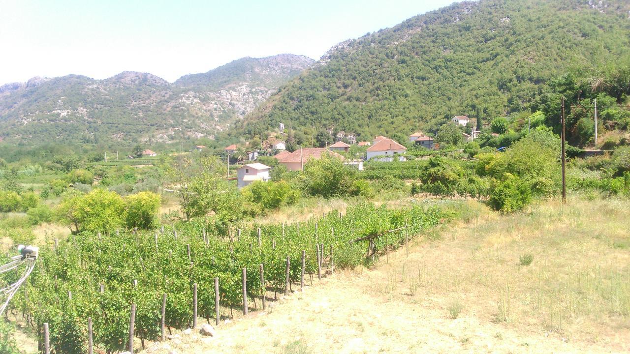 Vrzina Farm House Skadar Lake فيربازار المظهر الخارجي الصورة