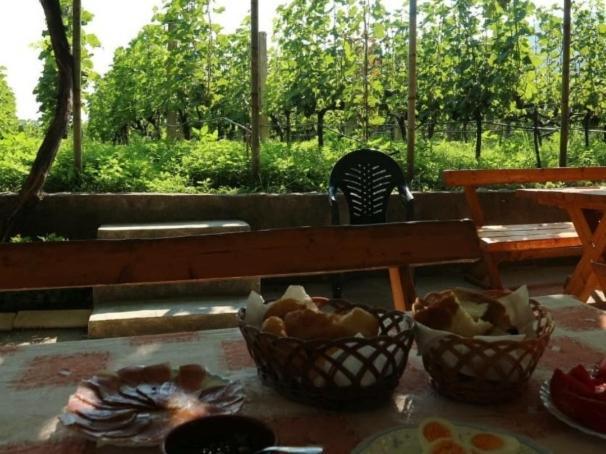 Vrzina Farm House Skadar Lake فيربازار المظهر الخارجي الصورة
