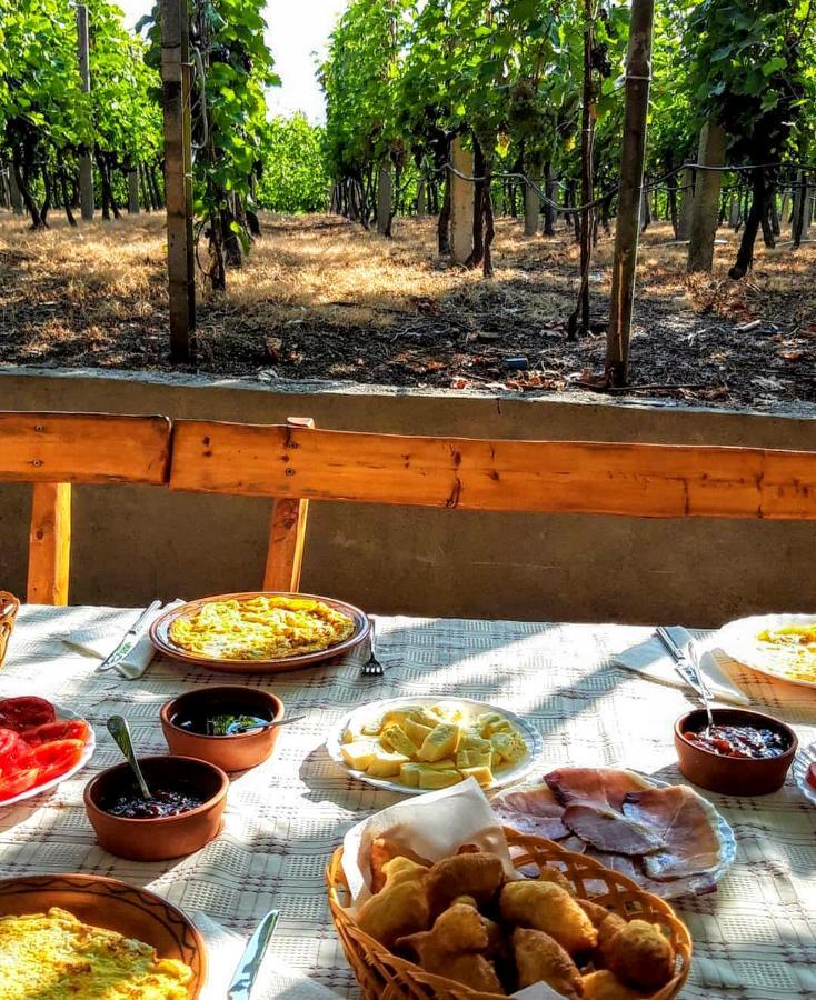 Vrzina Farm House Skadar Lake فيربازار المظهر الخارجي الصورة
